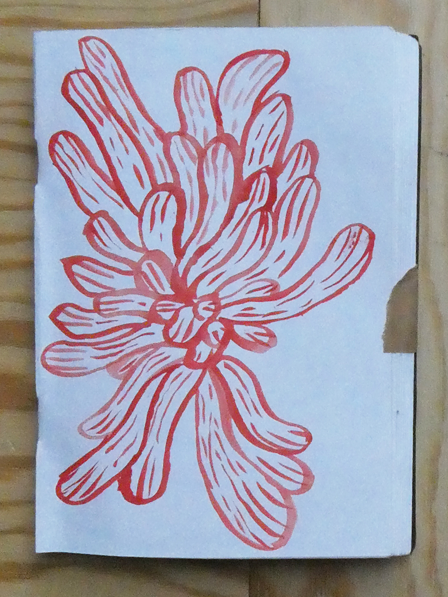 illu